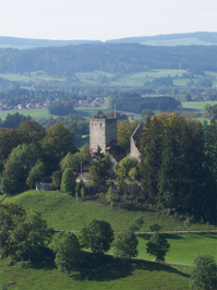 Burg Sulzberg Burg